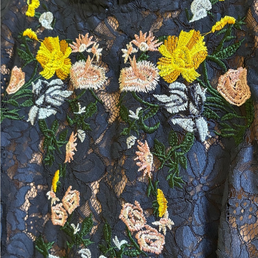 Lovedrobe Blue Lace Overlay Dress with Floral Embroidery Size 20 EUC - Picture 4 of 11